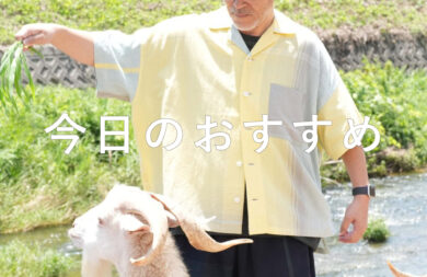 tamaki niime